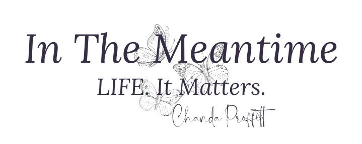 In The Meantime Image Logo